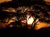 Sonnenuntergang im Amboseli